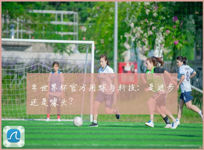 年世界杯官方用球与科技：是进步还是噱头？